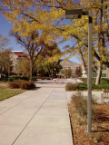 SRR IX panorama