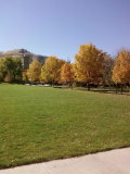 SRR IX panorama